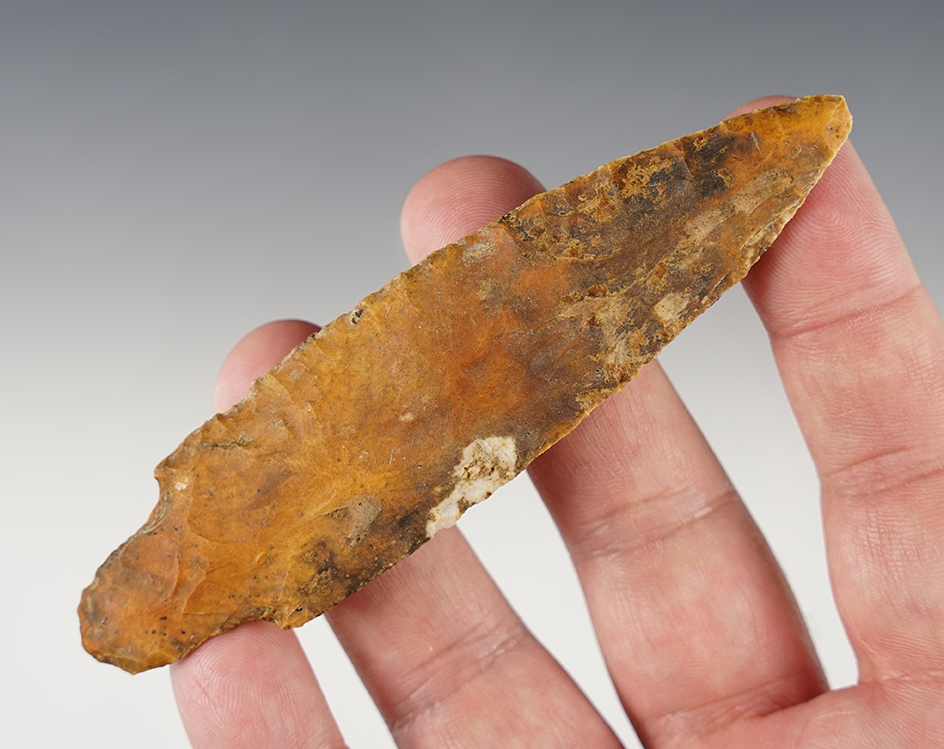 Main artifact image