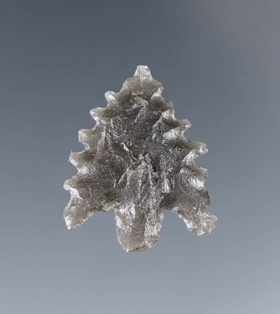 Main artifact image