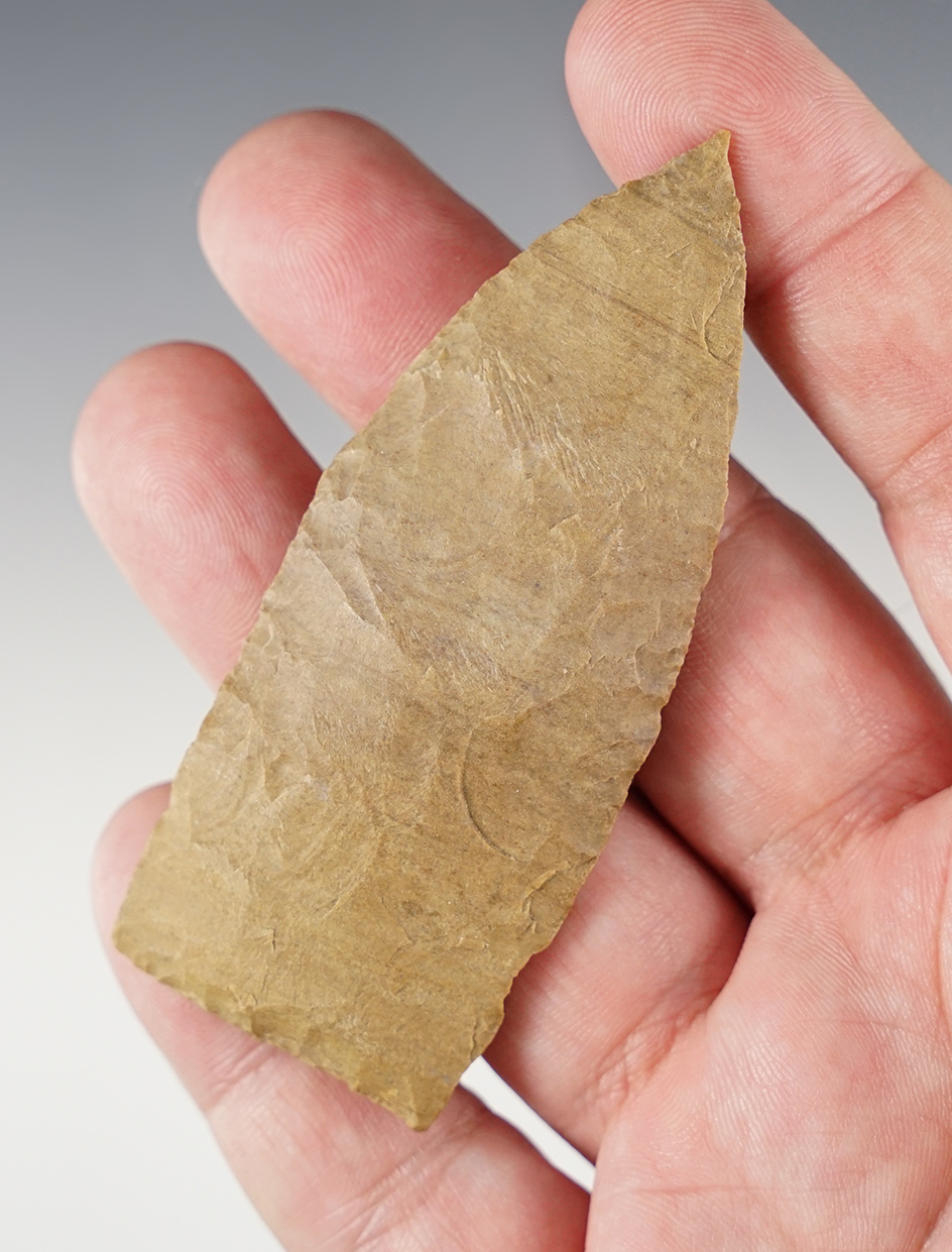 Main artifact image