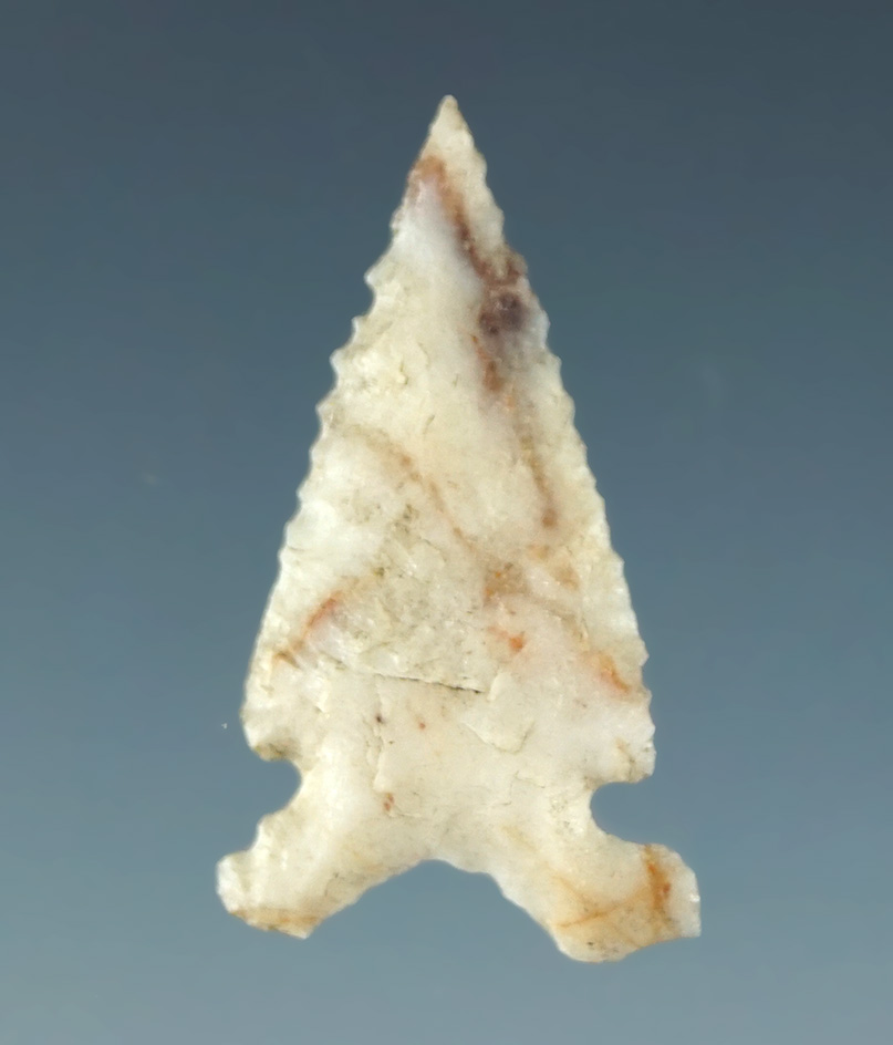15/16" Sidenotch with nice micro-serrations along edges California.