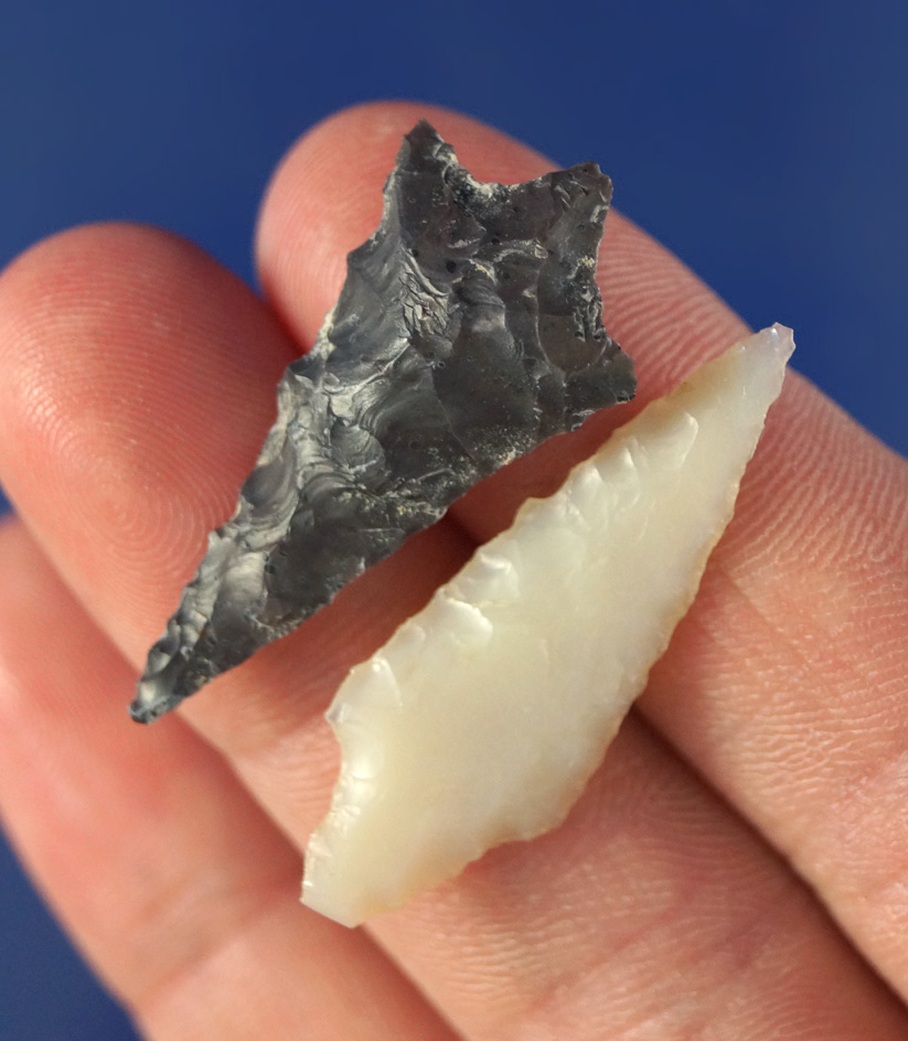 Pair of Rabbit Island points, largest is 1 3/16".