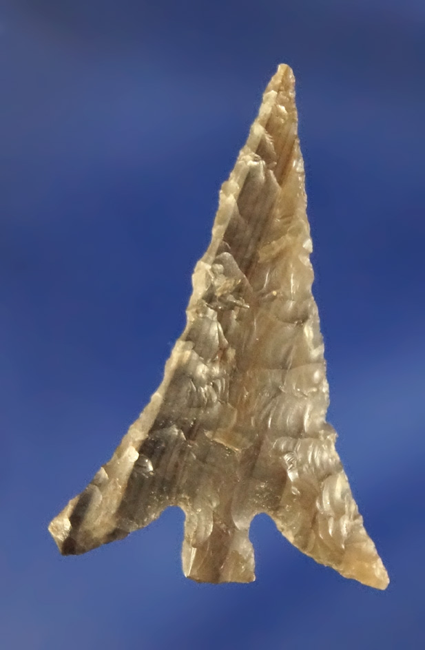 Nice! 1 1/4" Columbia Plateau made from beautifully banded Petrified Wood   Nice long  wings.