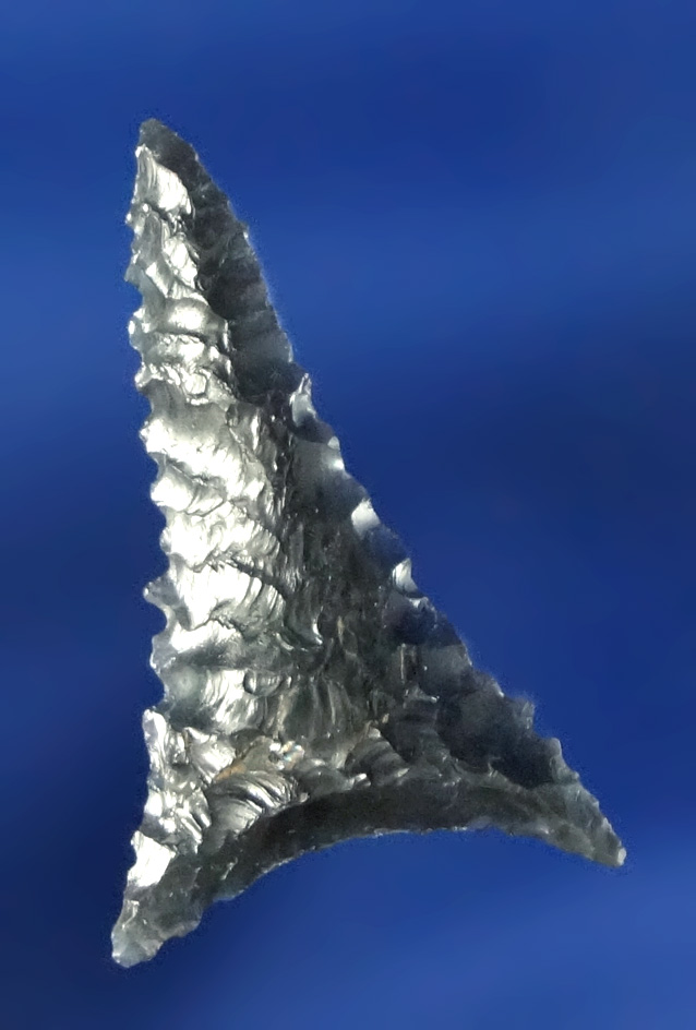 15/16" thin with exceptional flaking Gunther Triangular found in Oregon.
