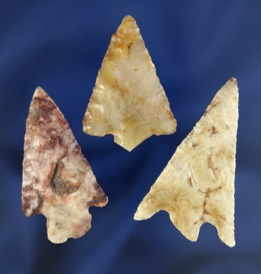 Set of three Columbia River arrowheads, largest is 1 15/16".