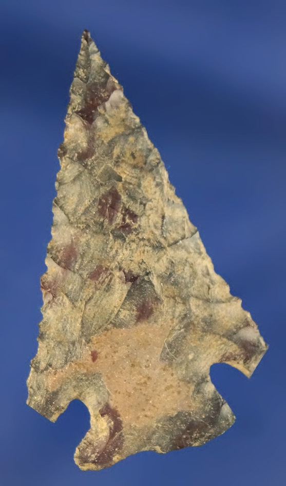 Heavily patinated 1 13/16" Elko Cornernotch found in Oregon.