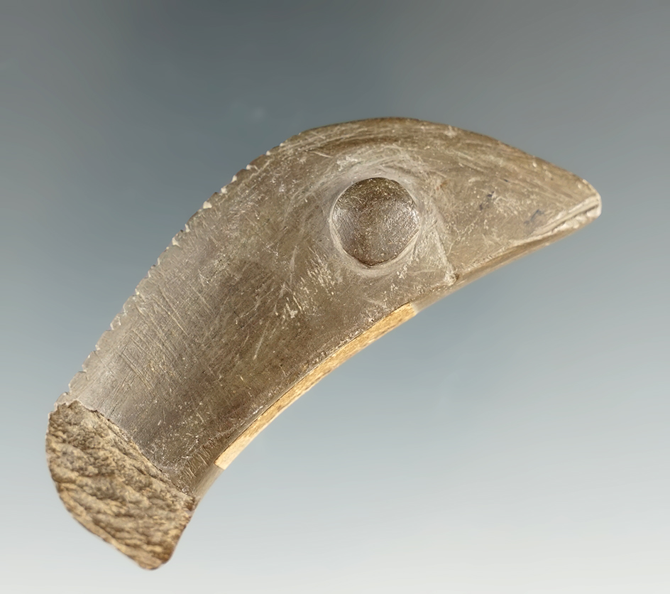 Main artifact image
