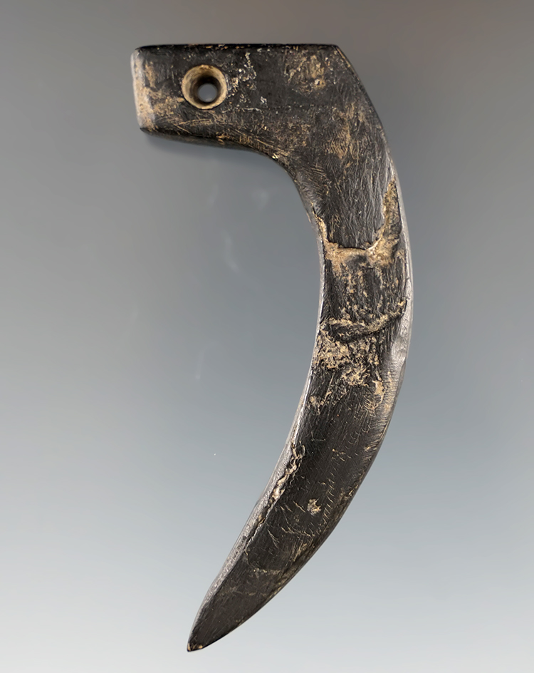 Main artifact image