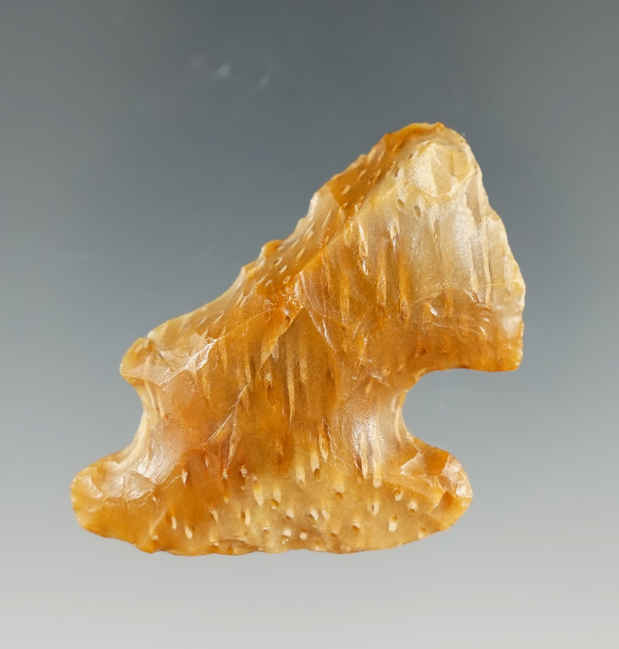 1 11/16" Albany Knife made from Agatized Palmwood, found in Angelina Co., Texas. COA.