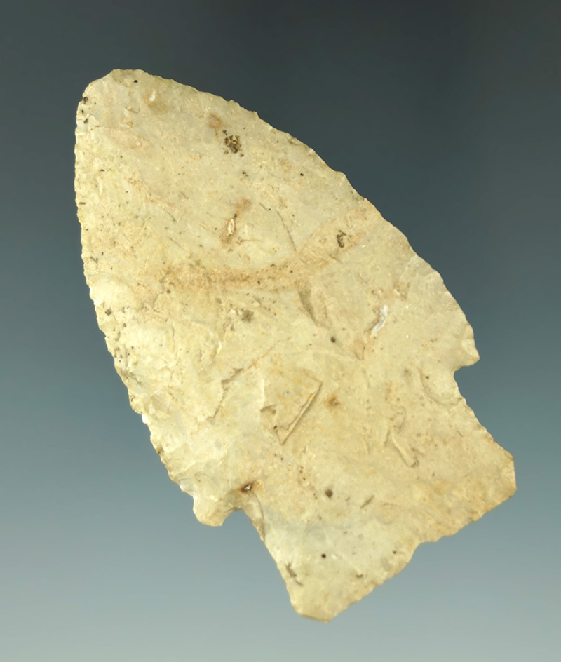 Main artifact image