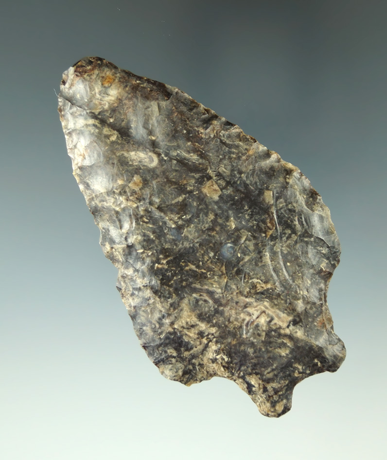 Main artifact image