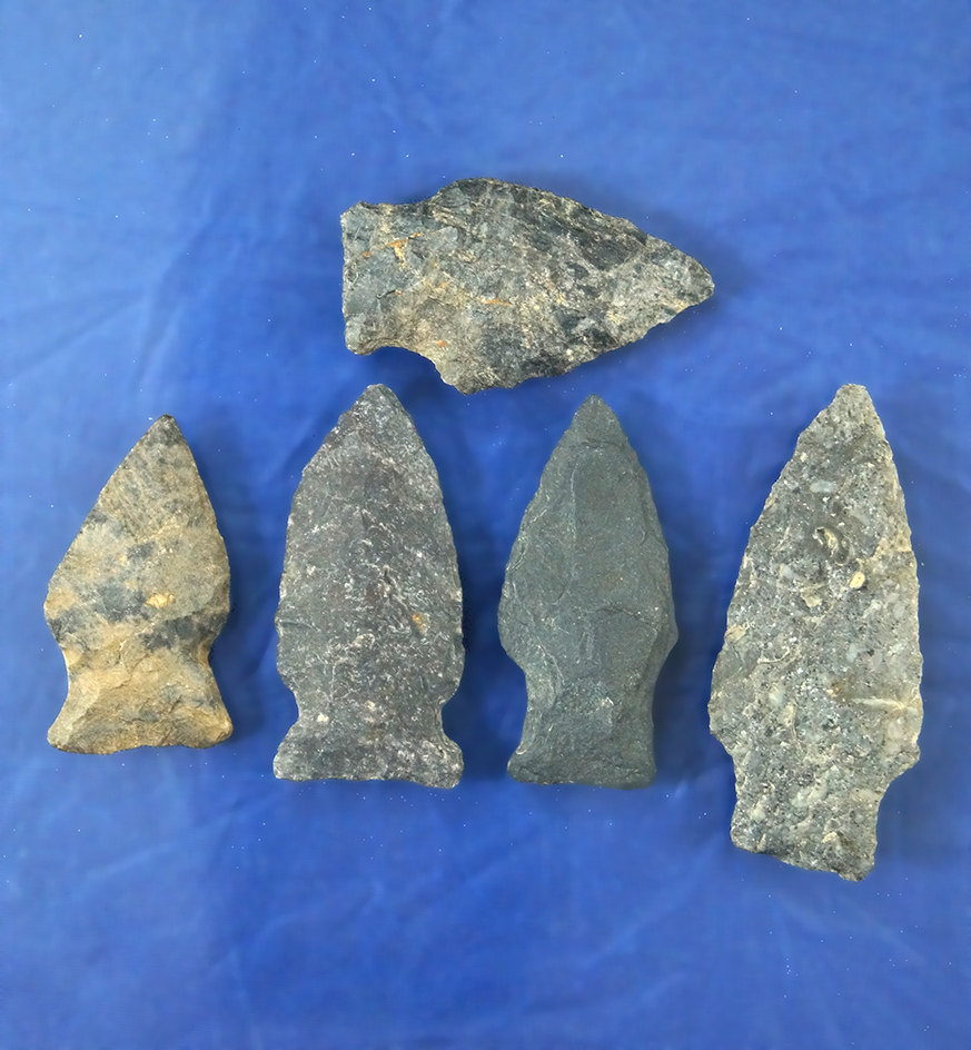 Main artifact image
