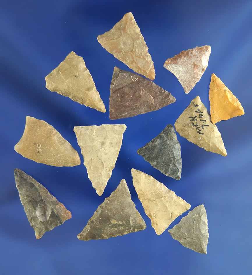 Set of 12 field found Triangle points from Greenup Co., Kentucky, largest is 7/8".