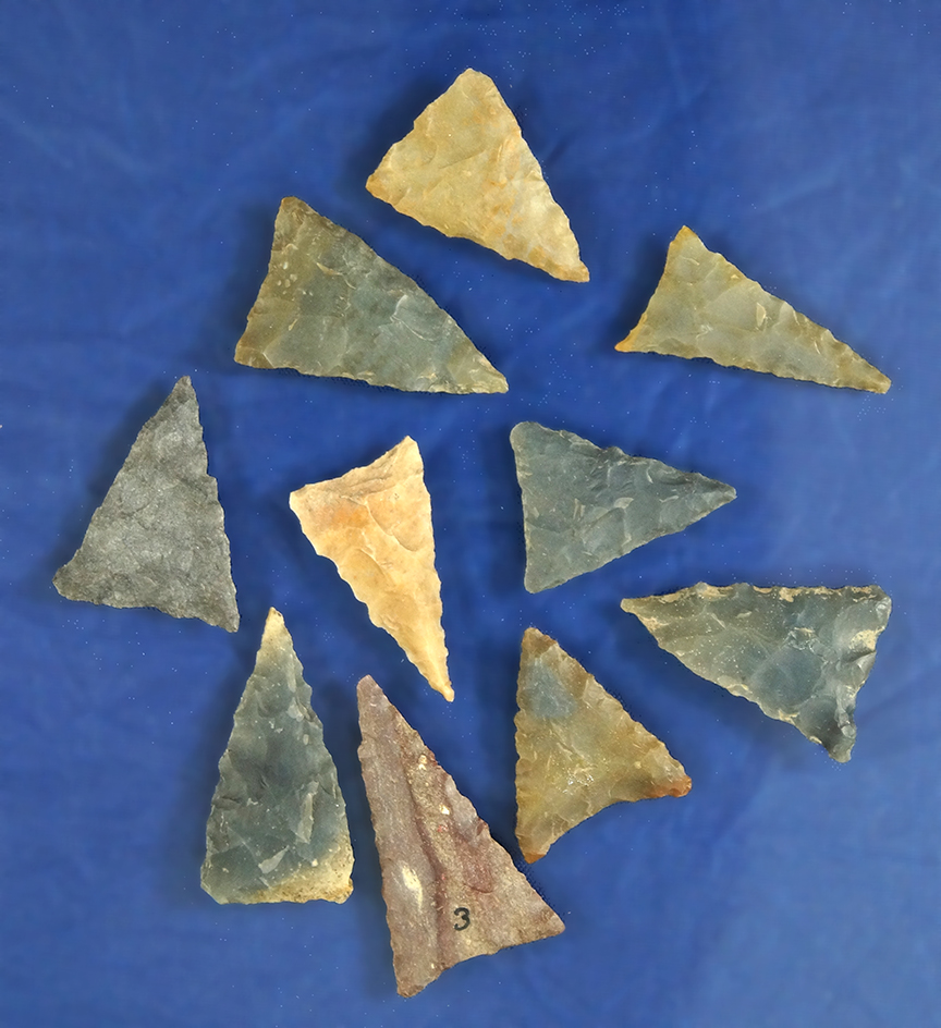 Set of 10 nice Kentucky Triangle Arrowheads, largest is 1 3/16".