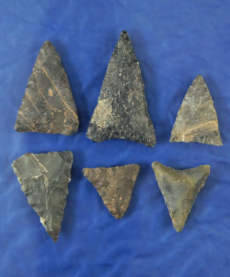 Main artifact image