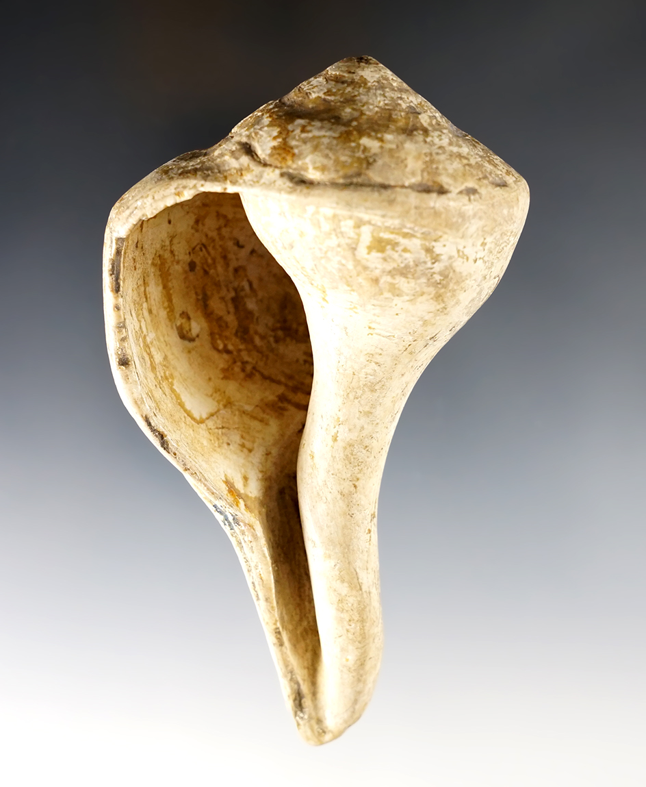 Main artifact image