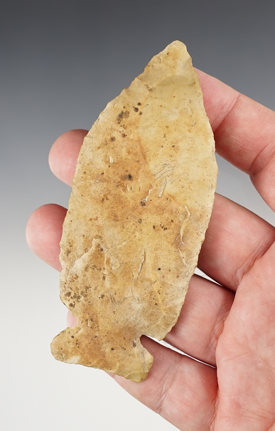 Unique 4 3/16" Fishspear-styled Sidenotch Knife - thin for size. Hancock Co., Ohio. Ex. McVette. 
