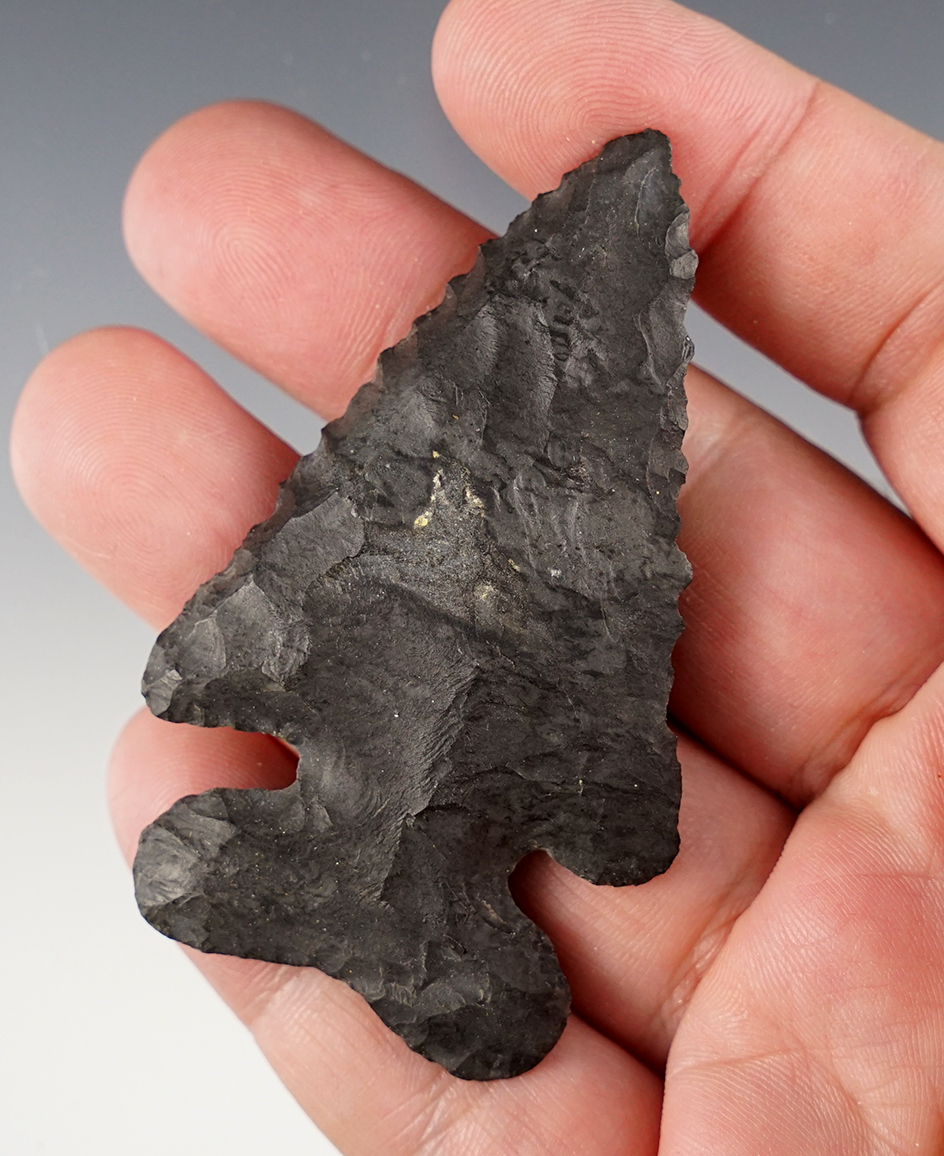 2 7/8" Thebes Bevel made from Coshocton Flint. Found near Mt. Gilead, Morrow Co., Ohio. 