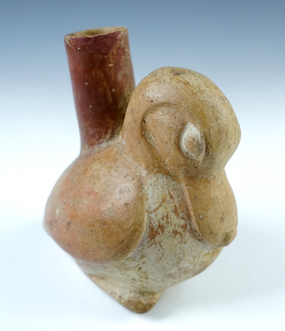 Main artifact image