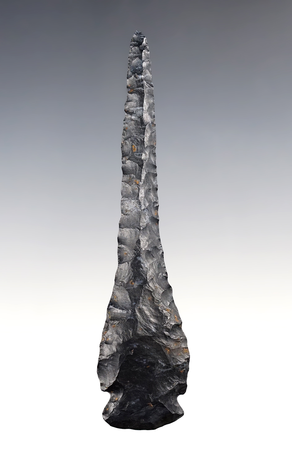 Main artifact image