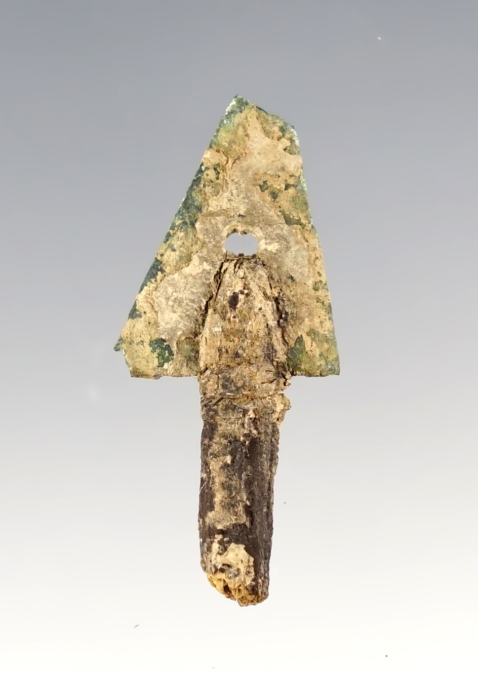 Main artifact image