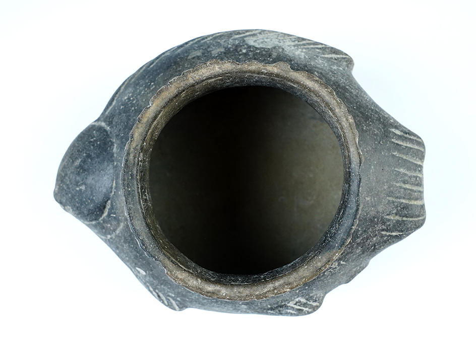 Main artifact image