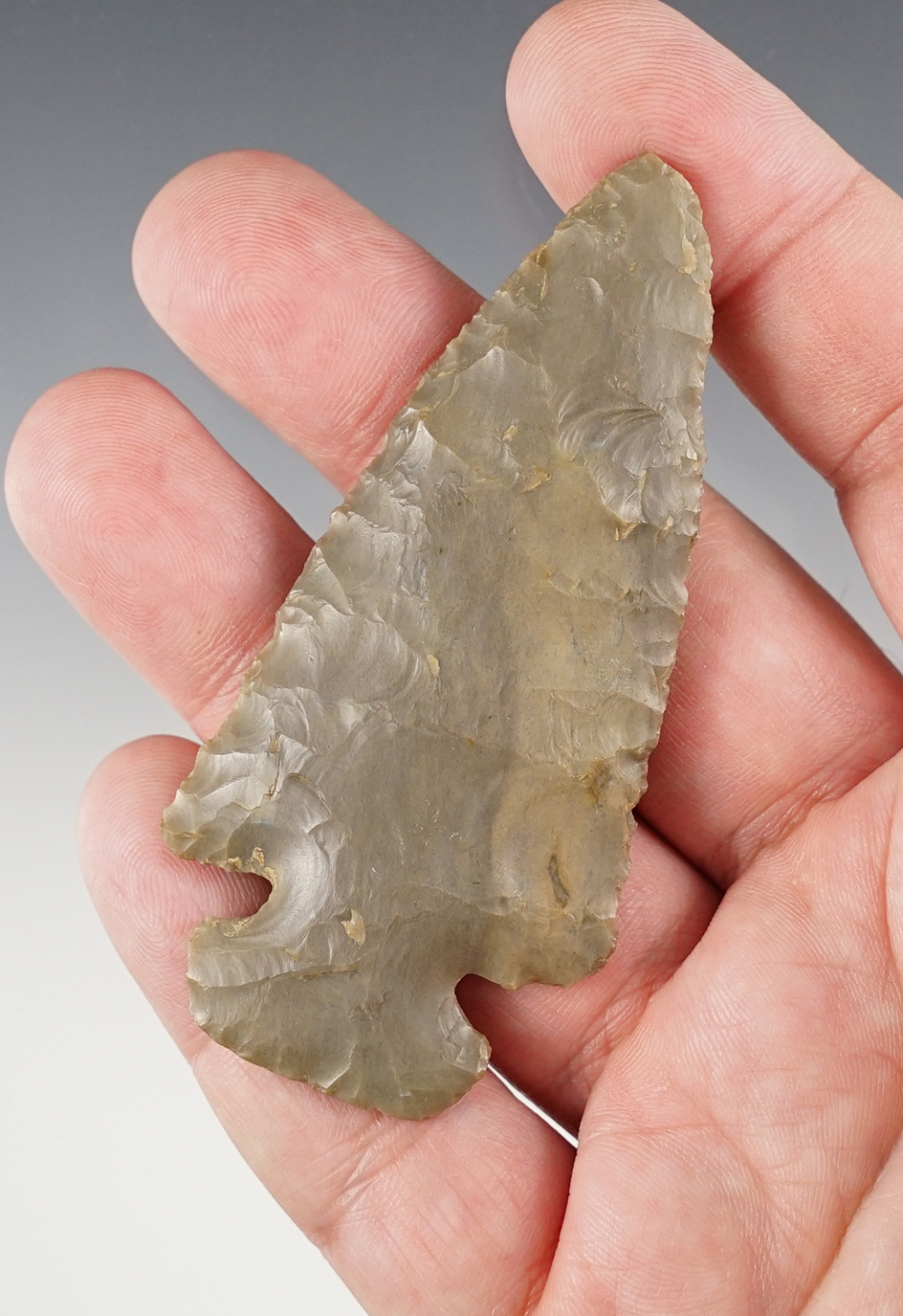 3 1/16" Dovetail made from Hornstone. Found in Ohio. Comes with a Bennett COA. 