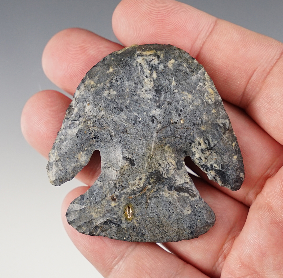 Main artifact image