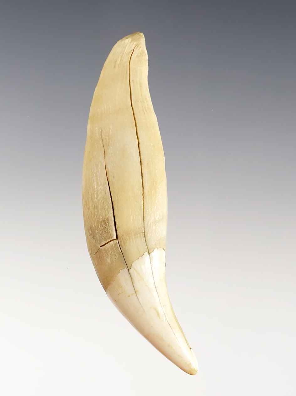 Main artifact image