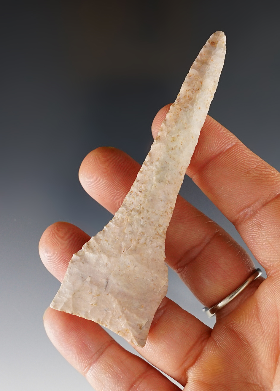 Main artifact image