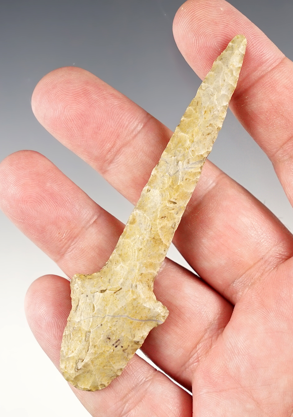 Main artifact image