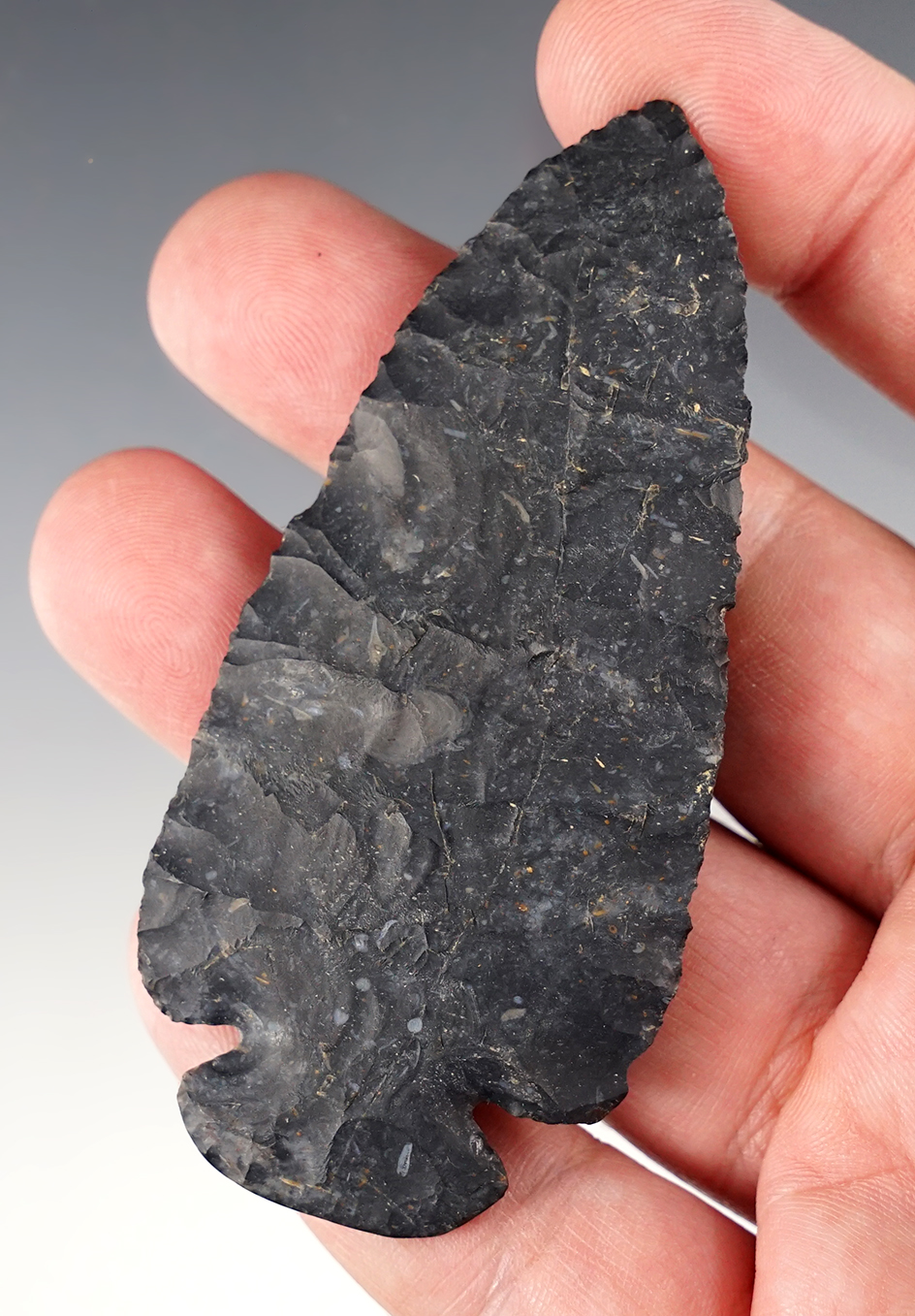 3 3/8" Dovetail that is beautifully flaked from Coshocton Flint found in Ohio.