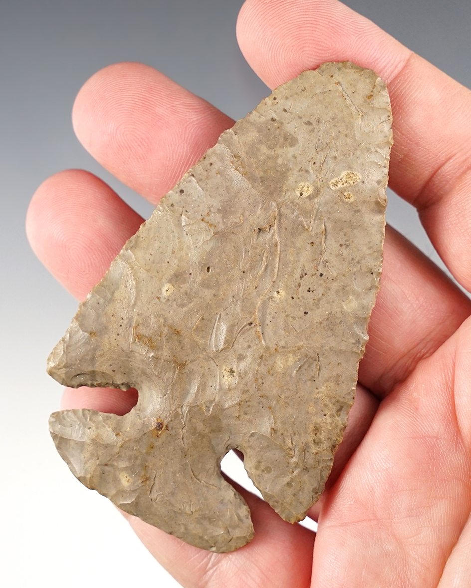 3 5/16" Thebes found in Ohio. 