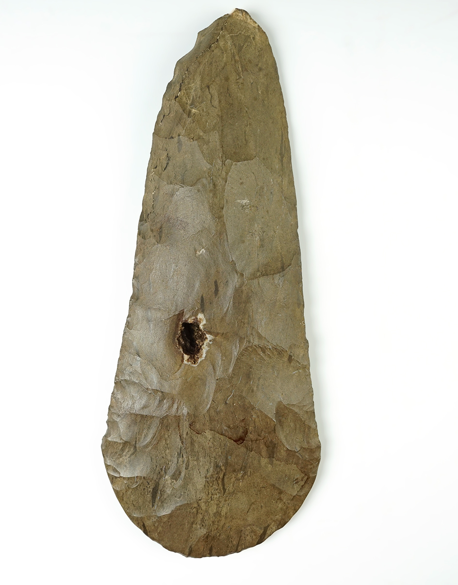 Main artifact image