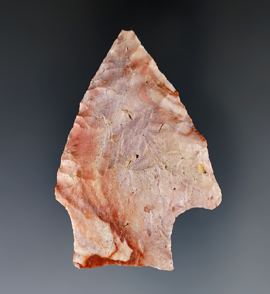 Main artifact image