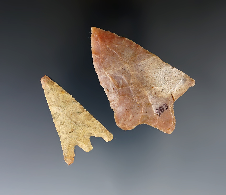 Main artifact image