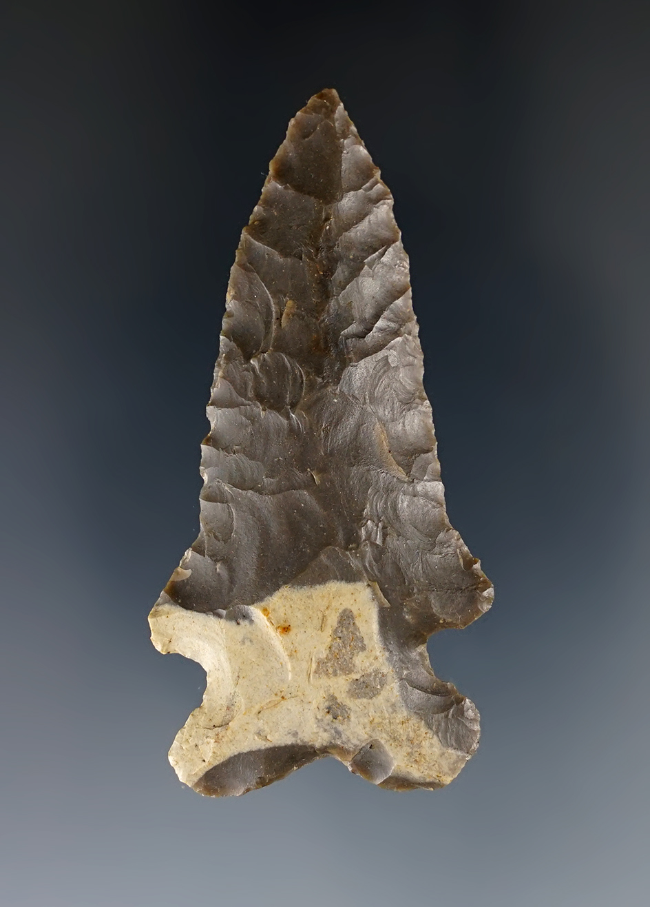 2 7/16" thin and fine McCorkle Point made from Indiana Hornstone. Ex. Macik Collection.