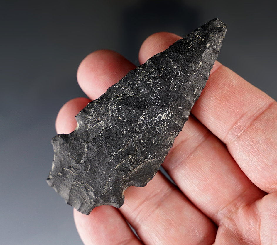 Main artifact image