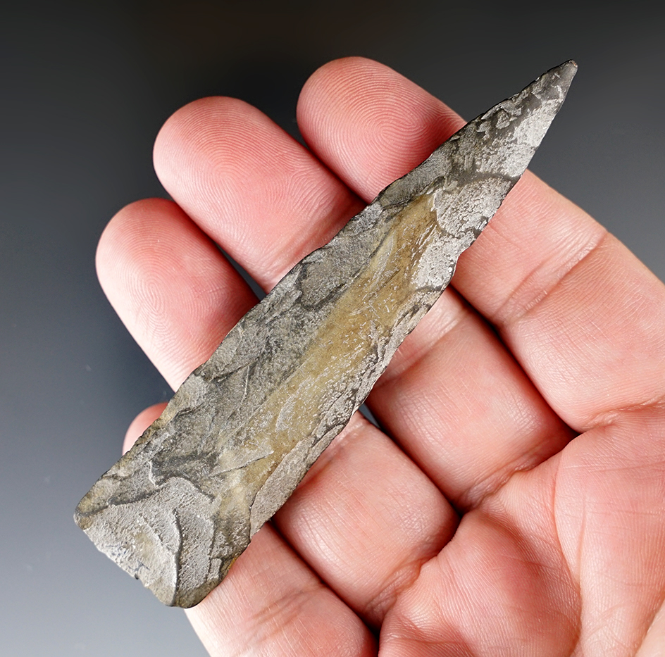 Main artifact image