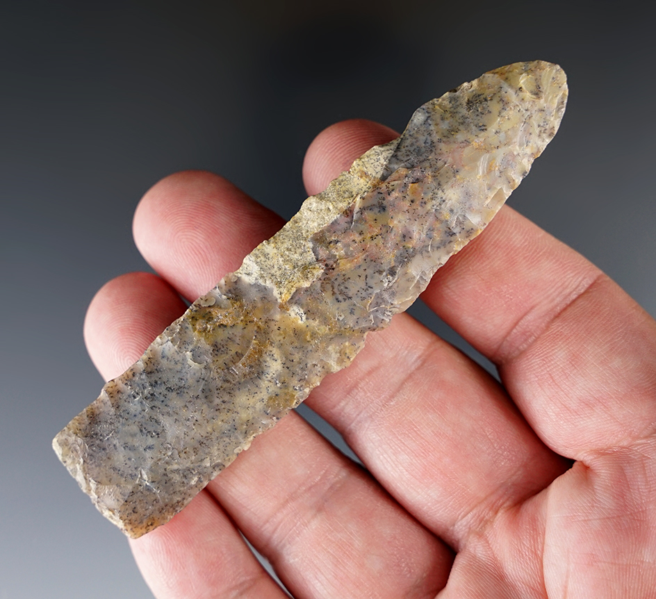 Main artifact image