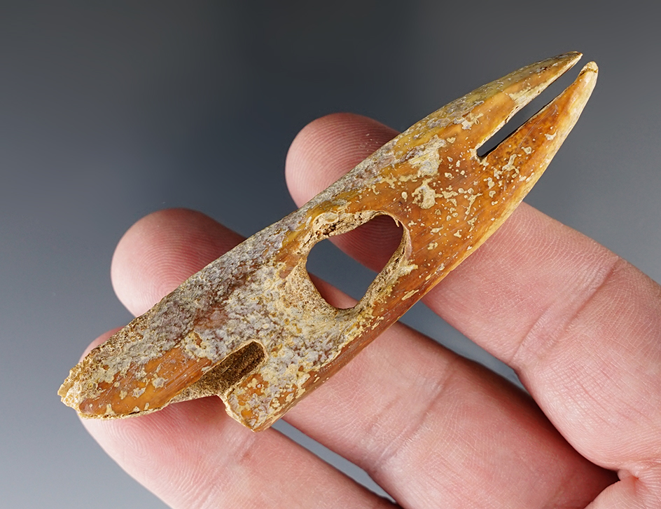 Main artifact image
