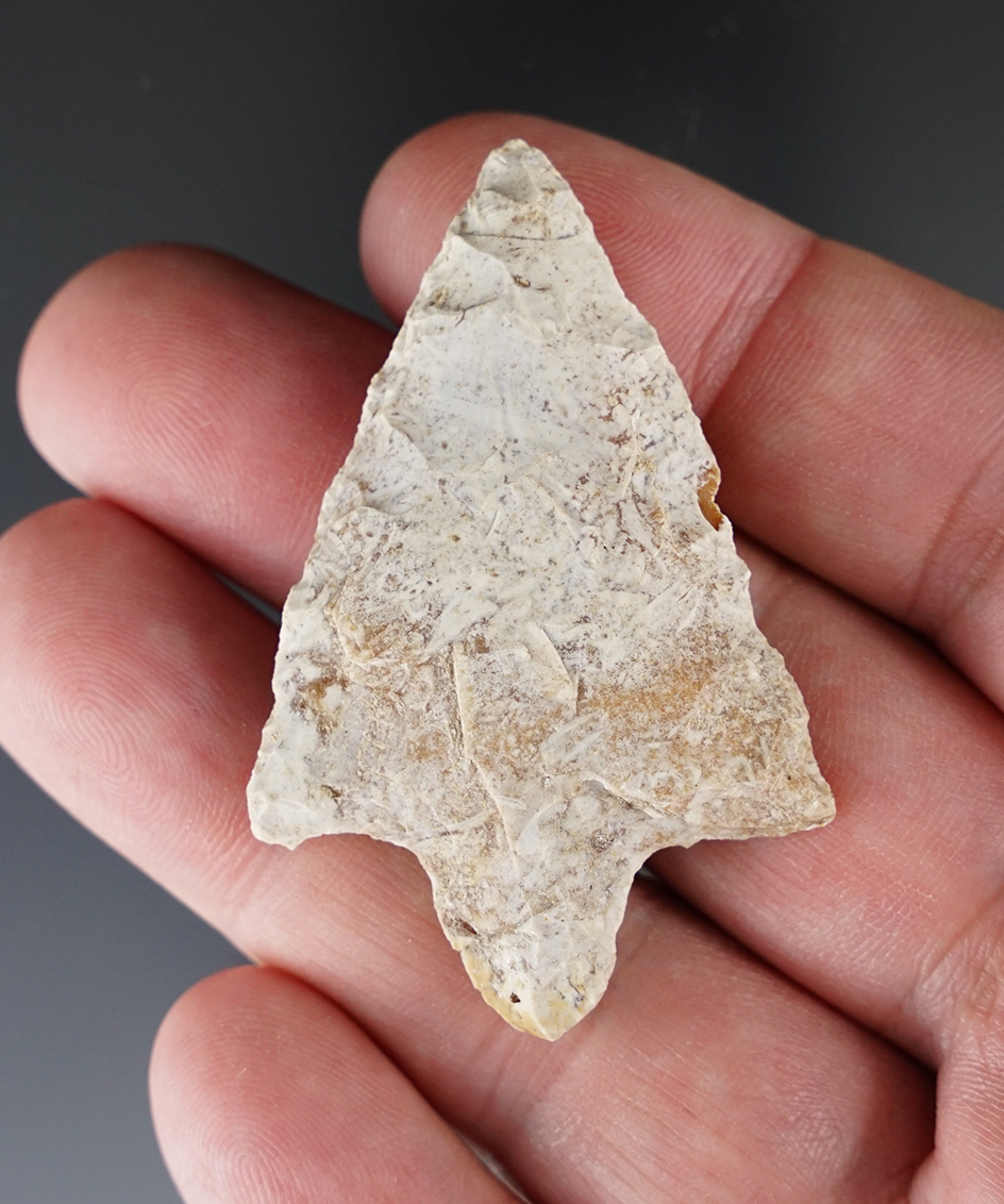 Main artifact image