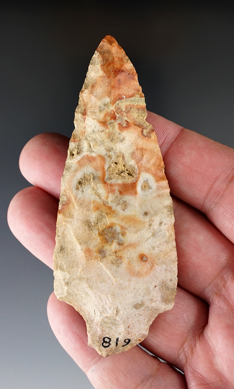 Main artifact image