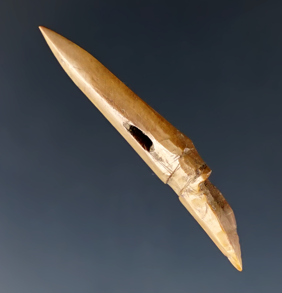 Main artifact image