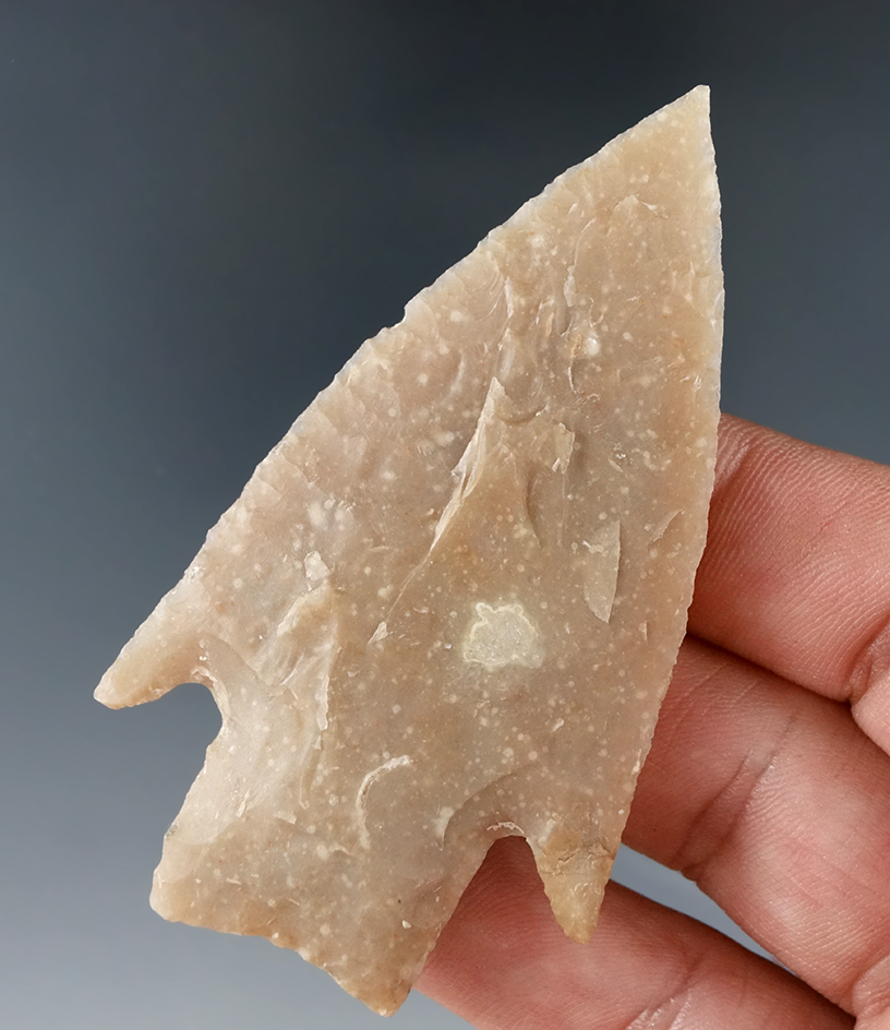 Excellent flaking on this 3" needle tip Bulverde found in Bell Co., Texas. Ex. Charles Camp.