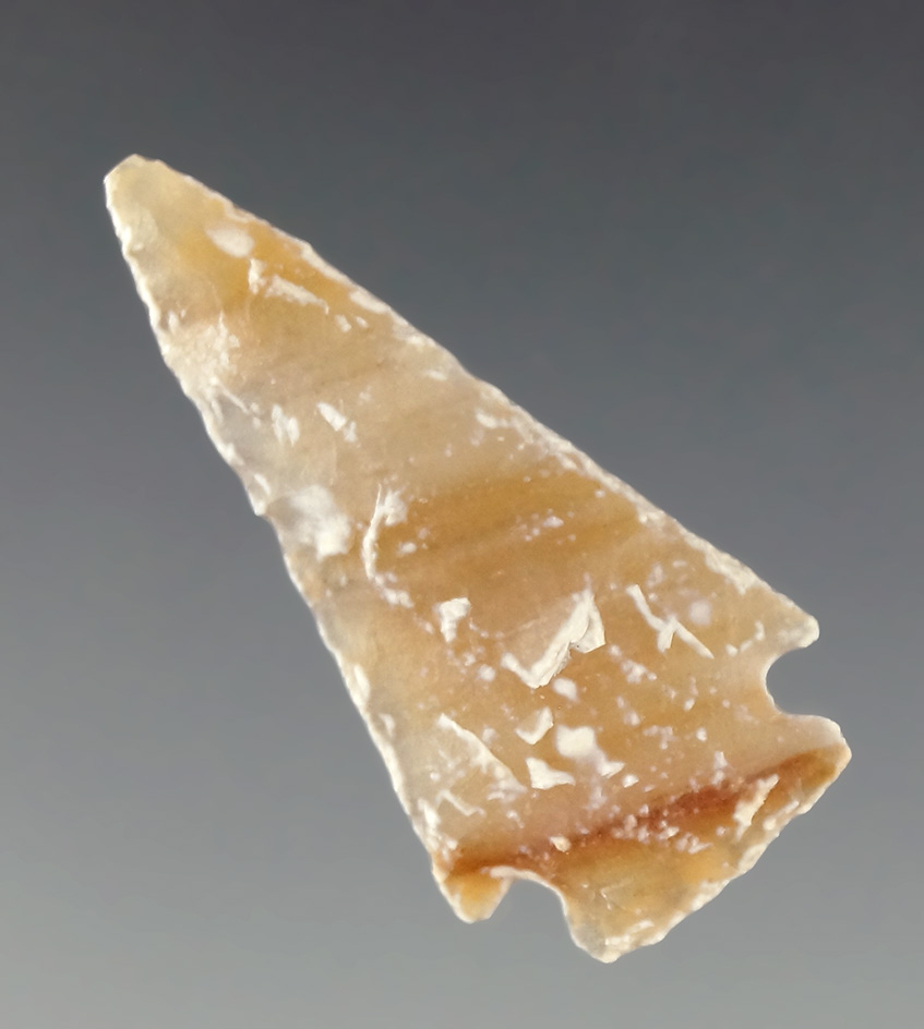 Main artifact image