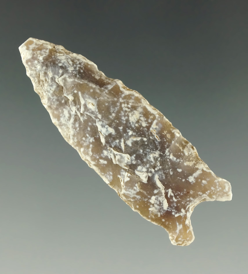 Main artifact image
