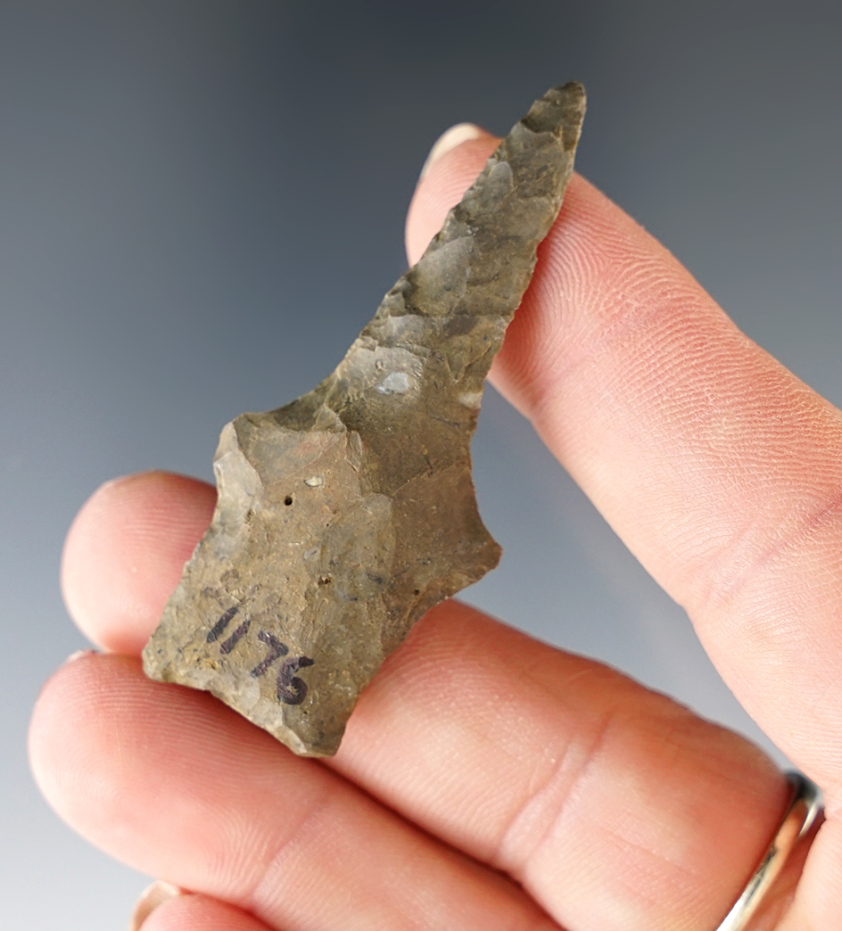 Main artifact image