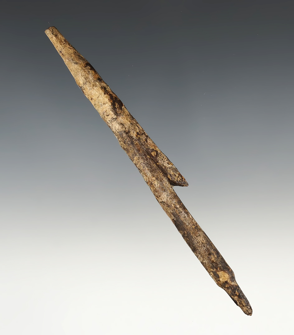 Main artifact image