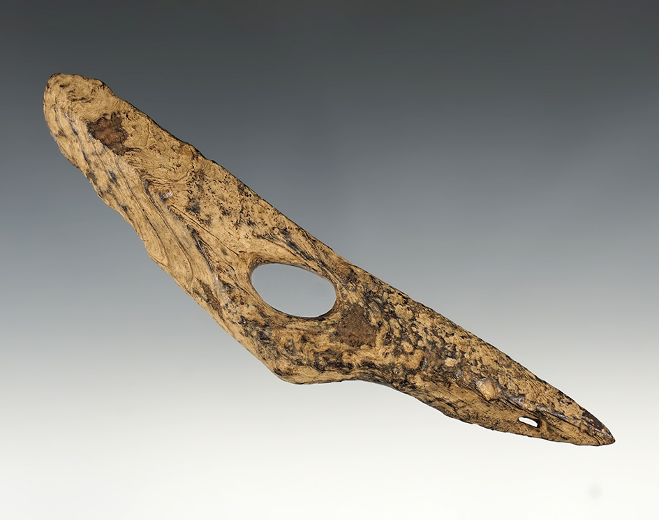 Main artifact image