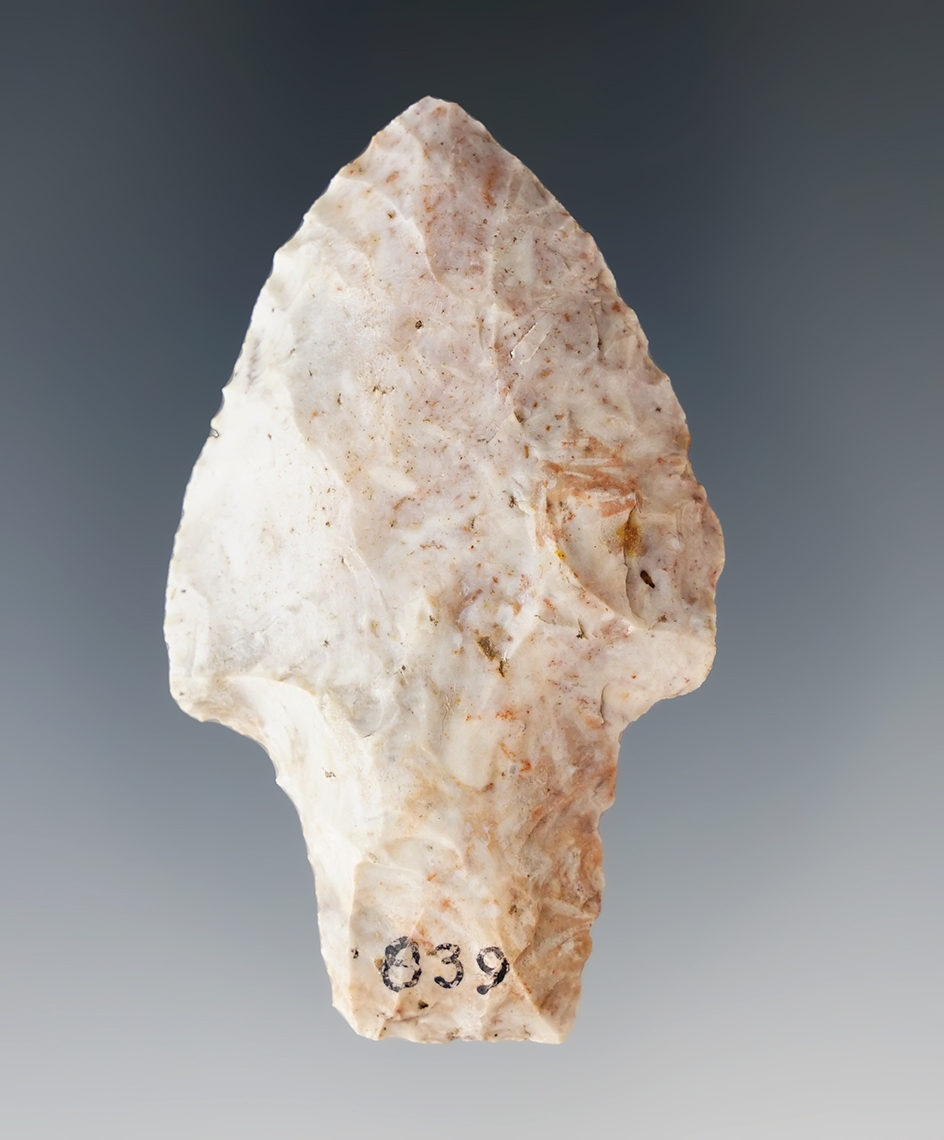 Main artifact image
